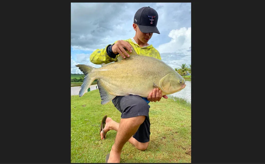 Imagem de compartilhamento para o artigo Inscrições do 1º Campeonato de Pesca Esportiva de Costa Rica encerra no próximo sábado da MS Todo dia